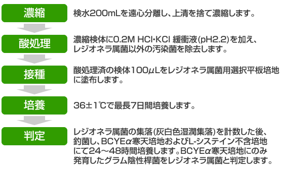 濃縮：検水200mLを遠心分離し、上清を捨て濃縮します。酸処理：濃縮検体に0.2M HCl・KCｌ 緩衝液(pH2.2)を加え、レジオネラ属菌以外の汚染菌を除去します。接種：酸処理済の検体100μLをレジオネラ属菌用選択平板培地に塗布します。培養：36±1℃で最長7日間培養します。判定：レジオネラ属菌の集落(灰白色湿潤集落)を計数した後、釣菌し、BCYEα寒天培地およびL-システイン不含培地にて24～48時間培養します。BCYEα寒天培地にのみ発育したグラム陰性桿菌をレジオネラ属菌と判定します。